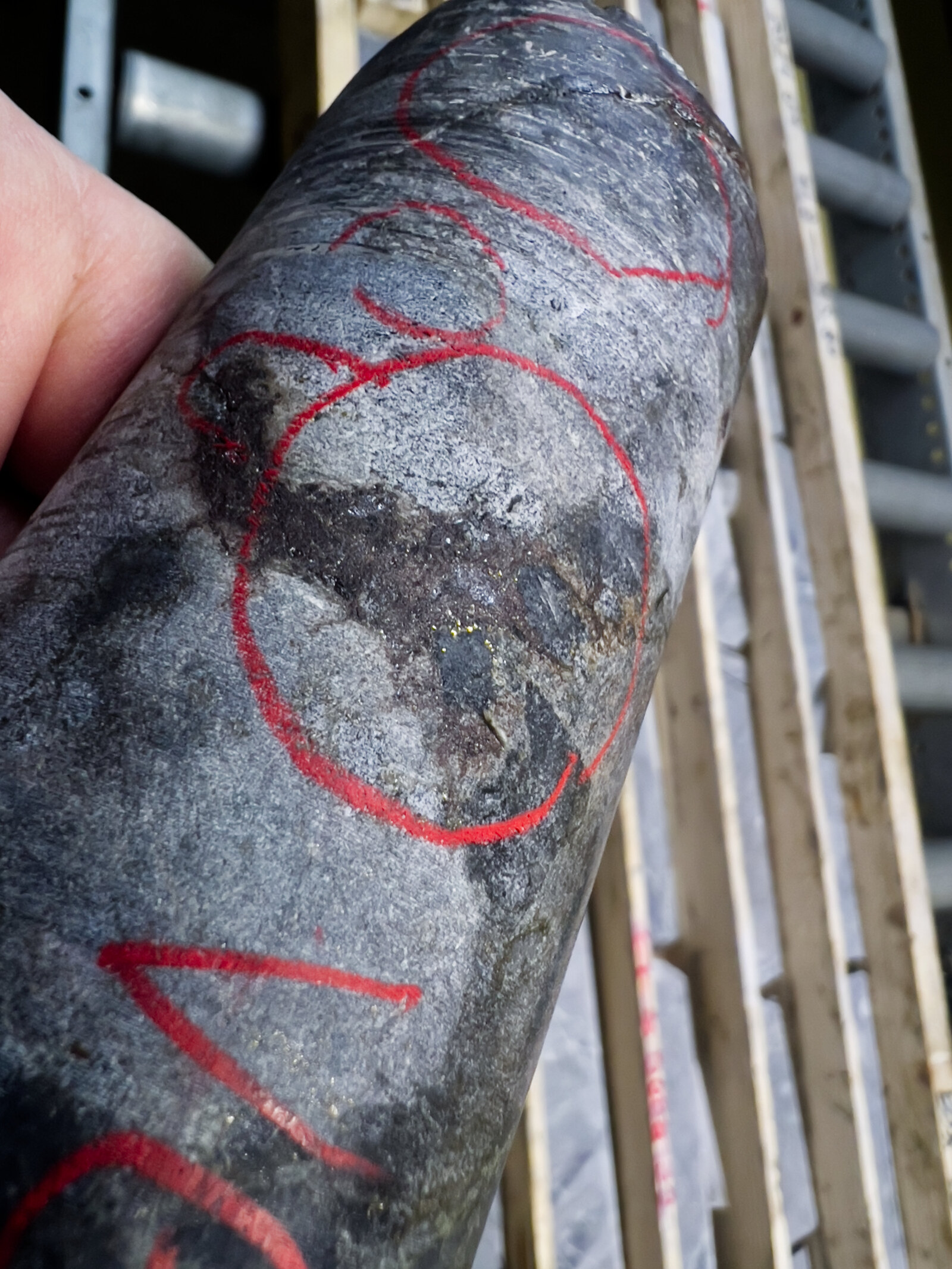 Drill core with visible gold marked