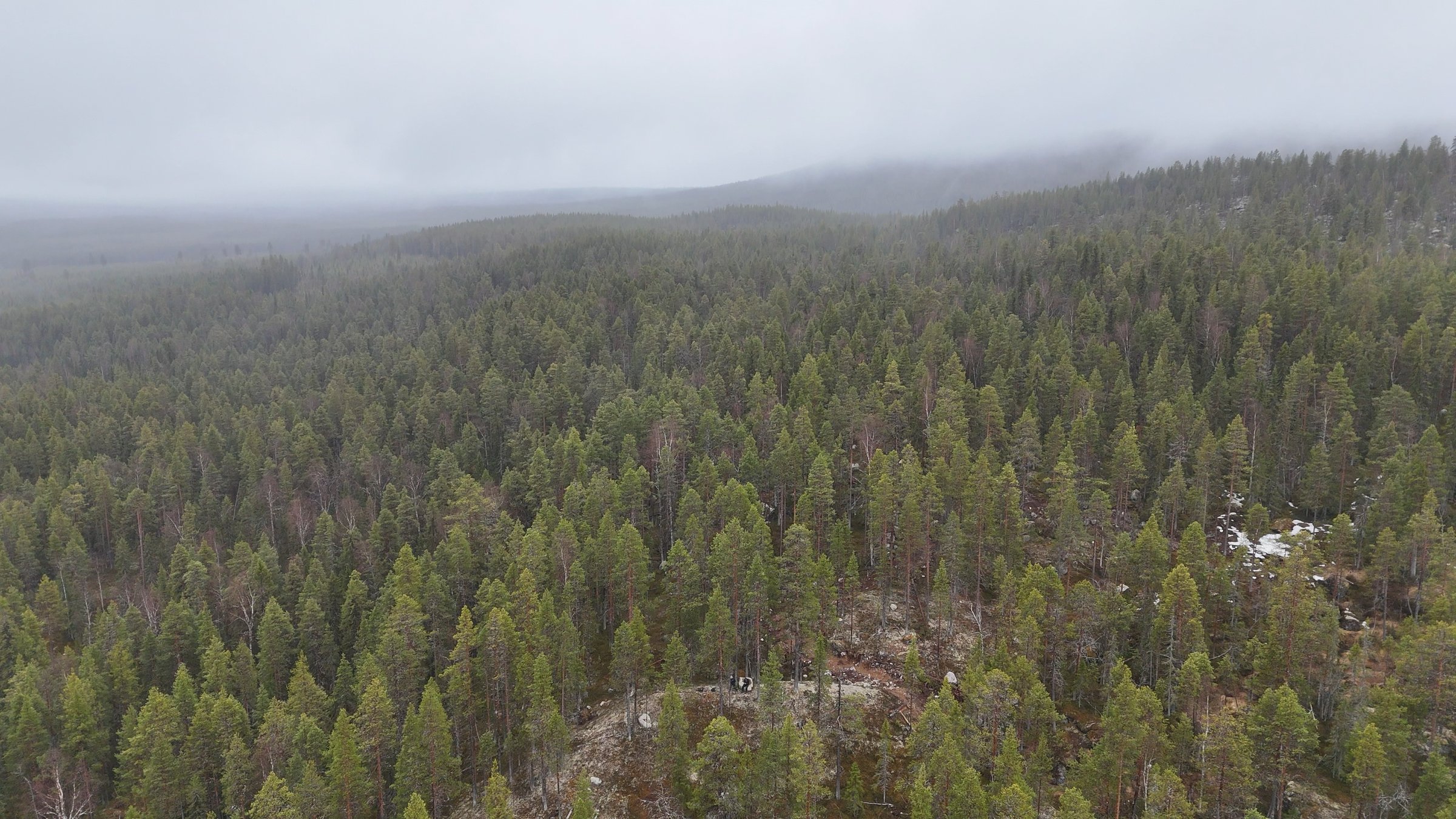 View over Stortj&auml;rnhobben in mist
