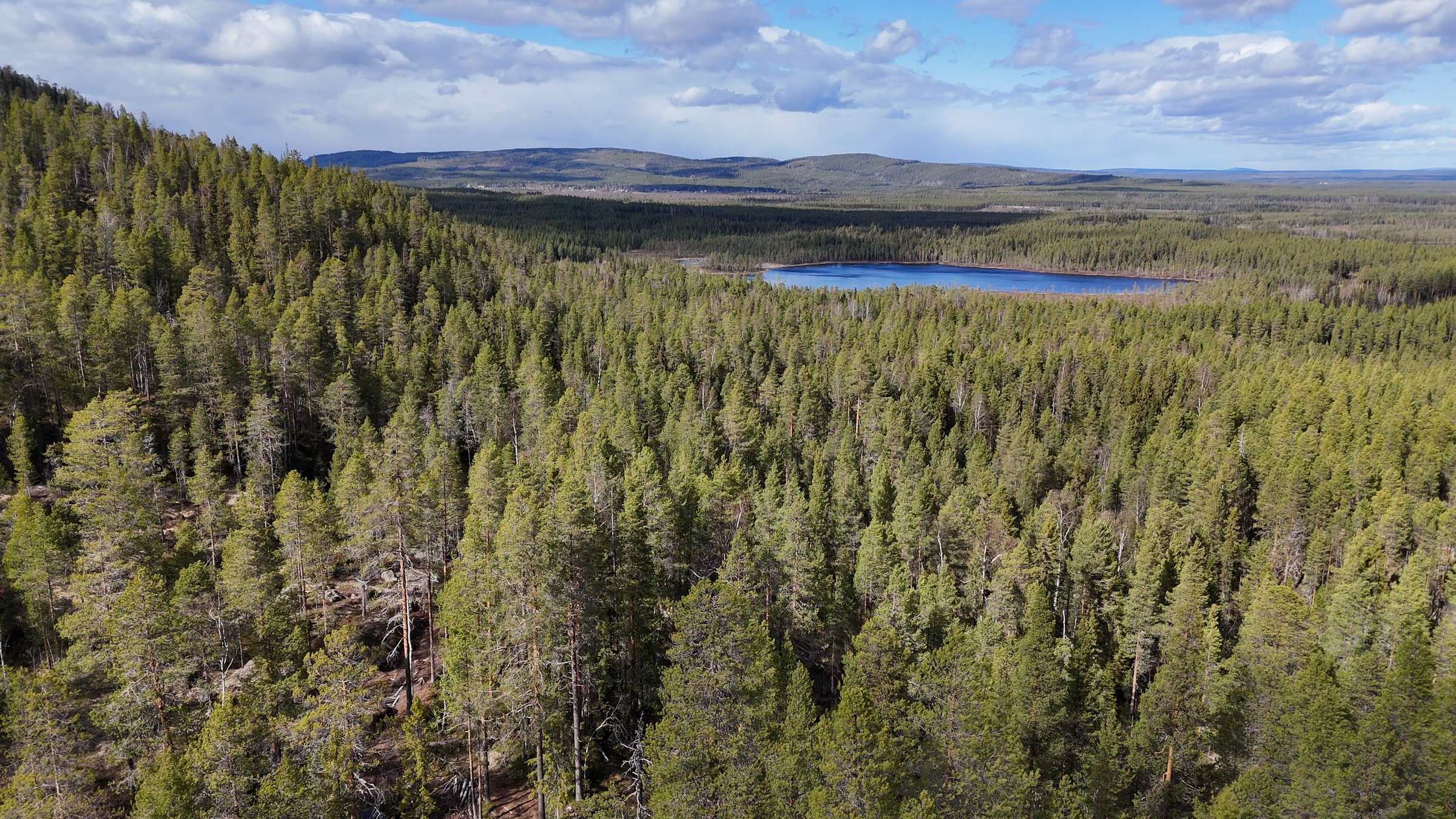 Stortj&auml;rnhobben summer view from drone