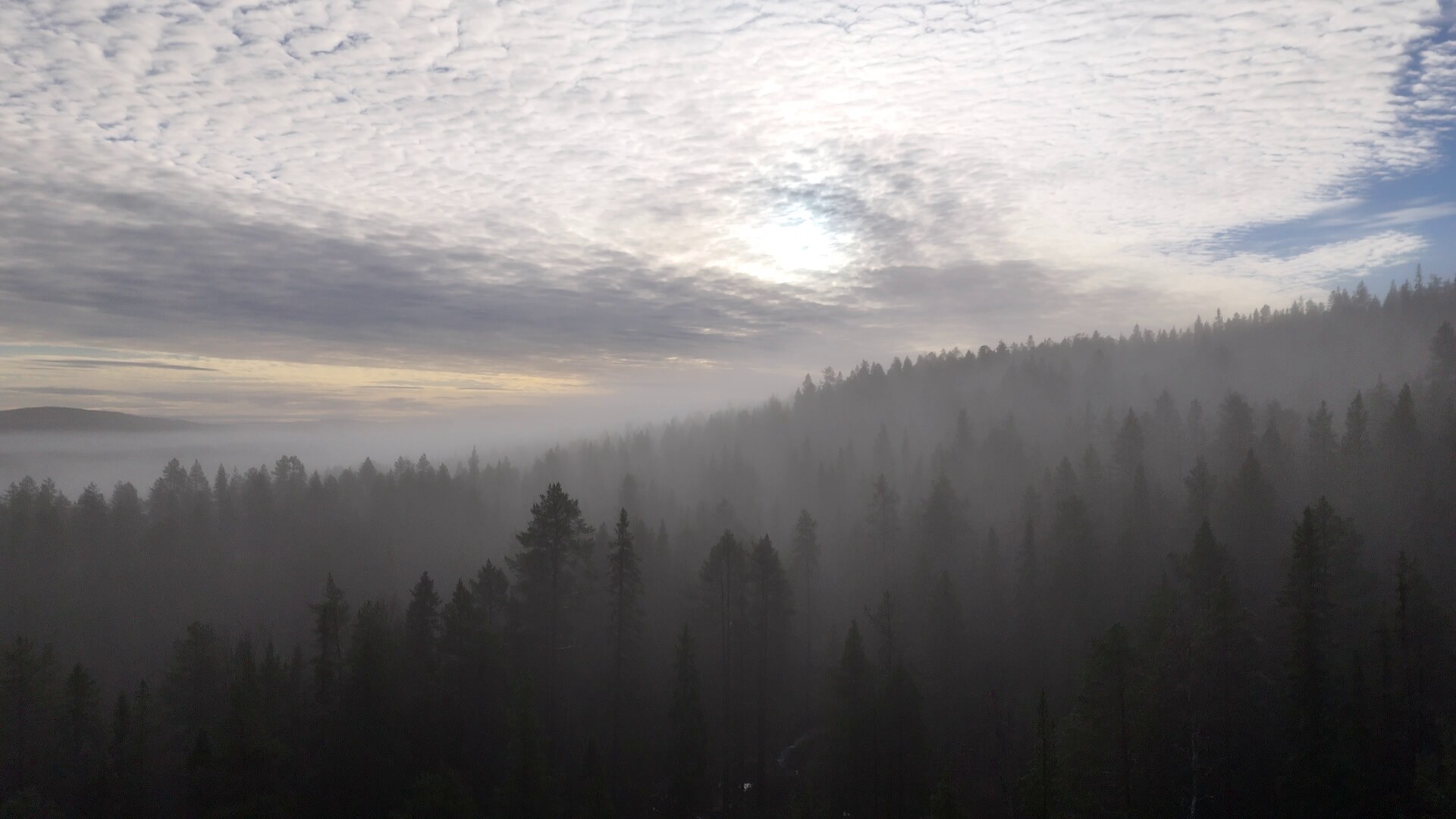 Stortj&auml;rnhobben in morning mist